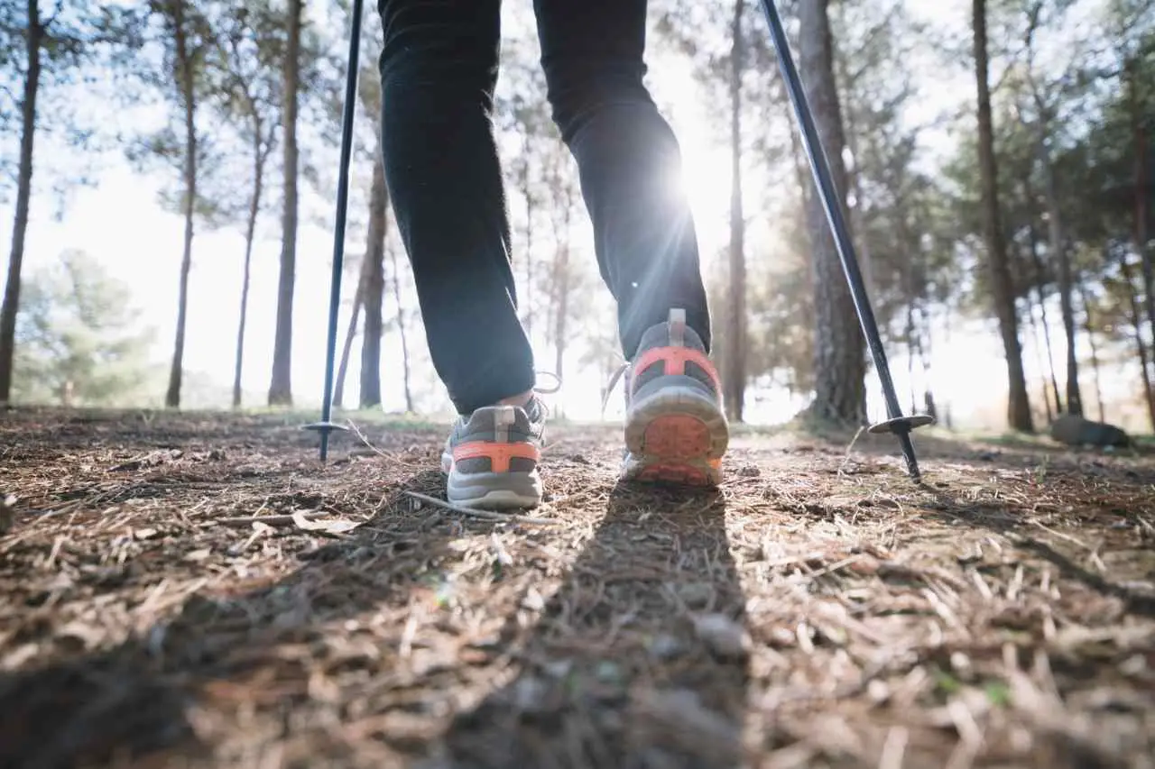 Quante ore bisogna camminare per perdere un chilo? La verità su camminata e dimagrimento Immagine selezionata