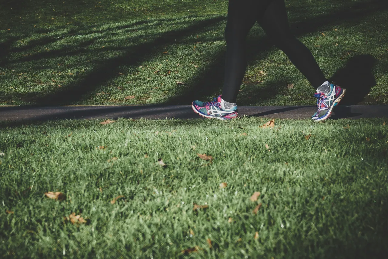 Quante ore bisogna camminare per perdere un chilo? La verità su camminata e dimagrimento Immagine selezionata