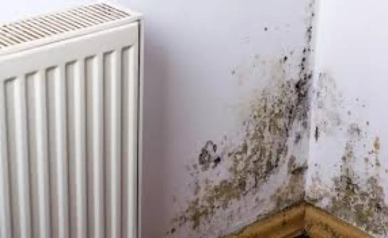 Guida pratica per riconoscere le cause dell’umidità domestica