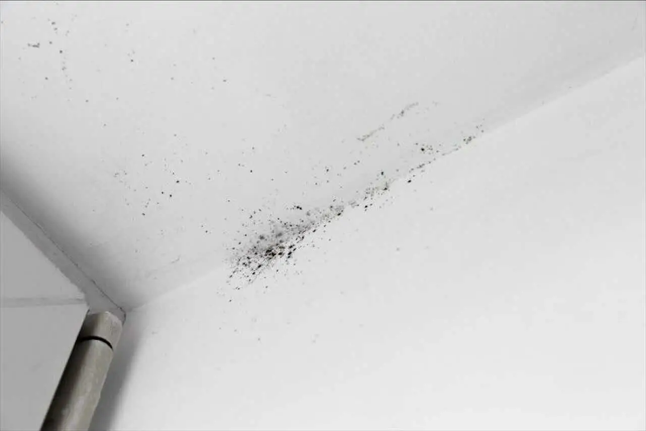 Guida pratica per riconoscere le cause dell’umidità domestica Immagine selezionata