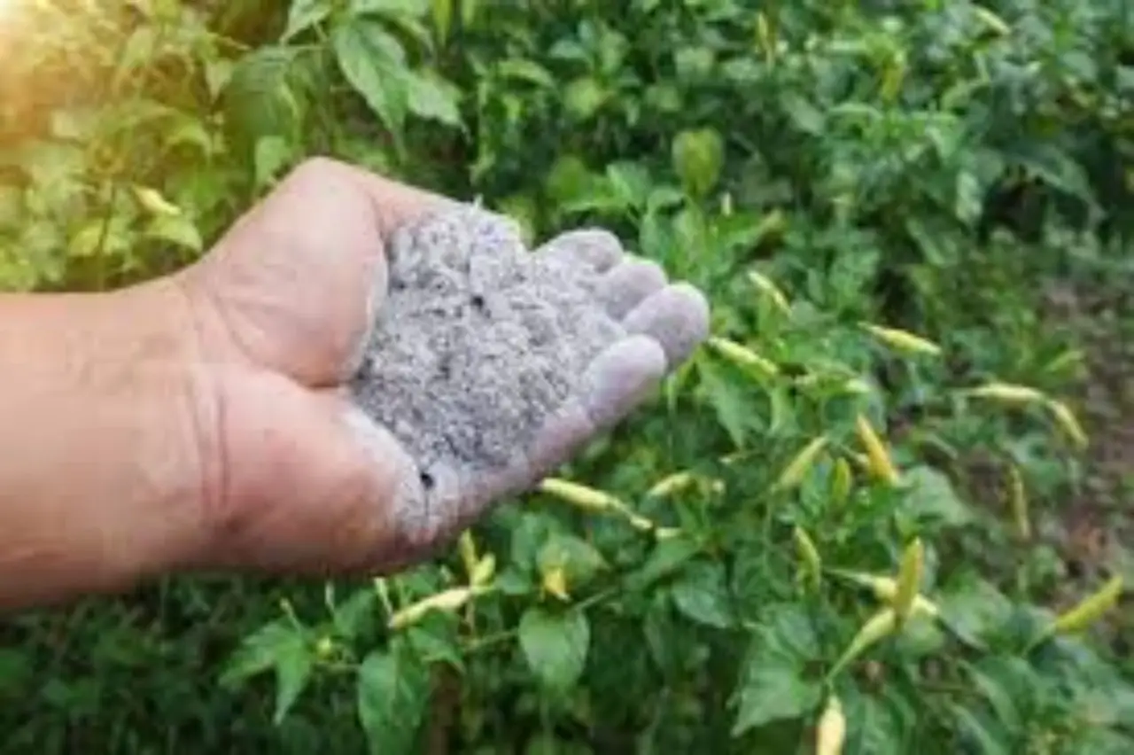 Terreno acido: come scoprirlo con il metodo del bicarbonato Immagine selezionata