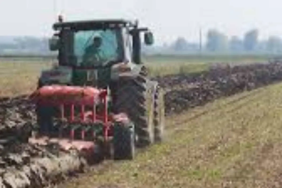 Terreno acido: come scoprirlo con il metodo del bicarbonato Immagine selezionata