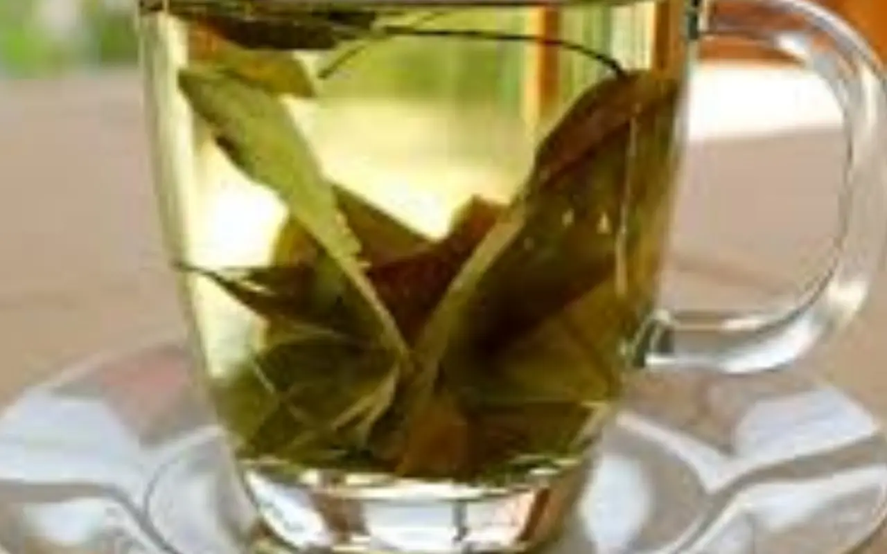 Tè usato: un alleato naturale per concimare le piante