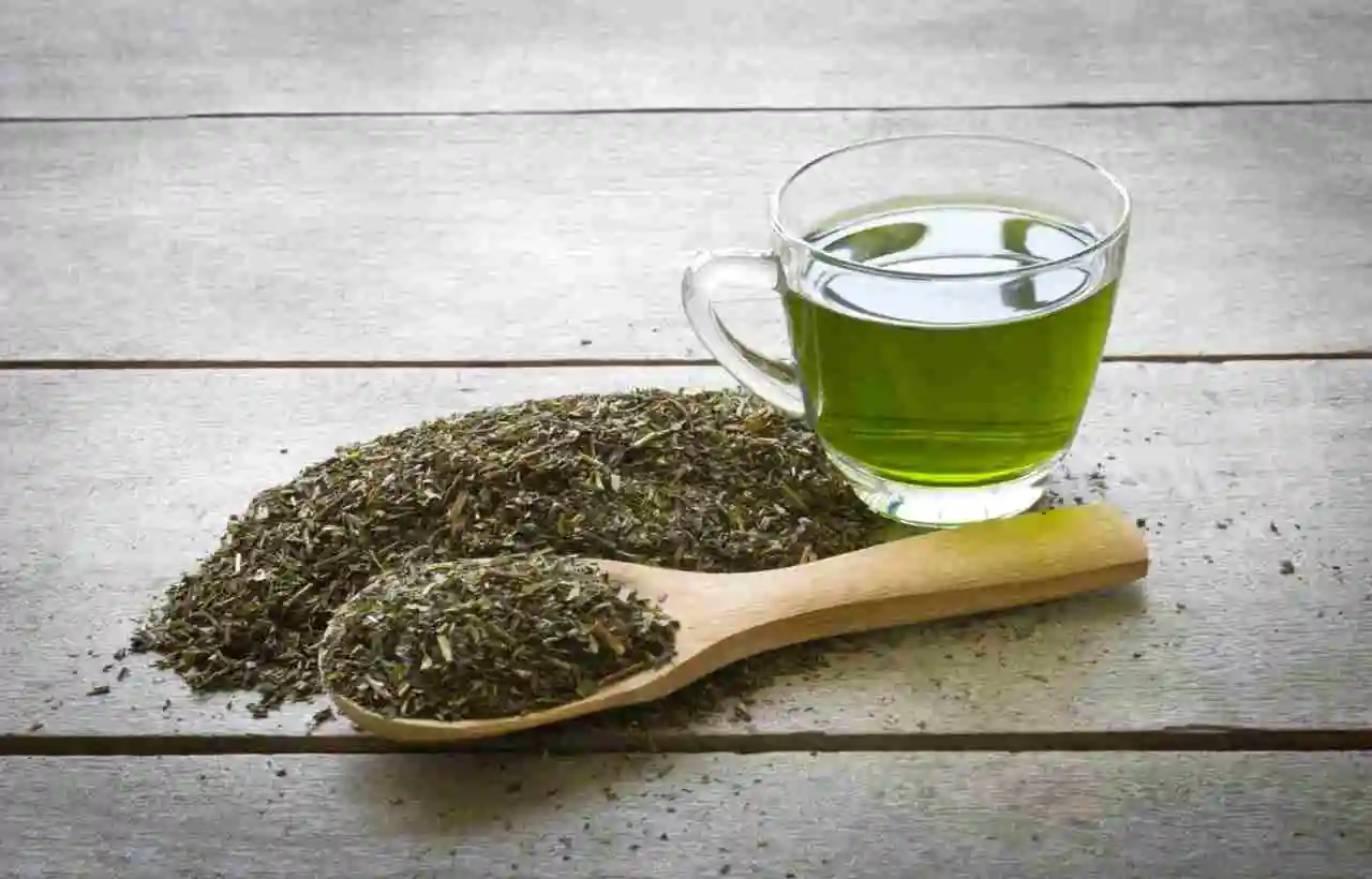 Tè usato: un alleato naturale per concimare le piante Tè usato: un alleato naturale per concimare le piante