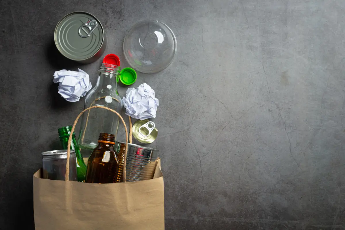 Packaging sostenibile: quali alternative scegliere per una spesa più green SC - Buste della spesa riutilizzabili ecologiche