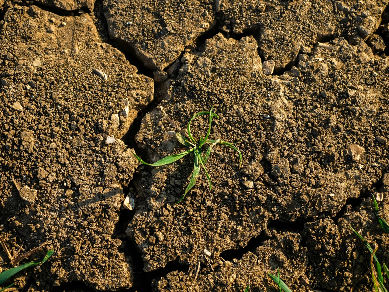 Come riconoscere un terreno argilloso e migliorarlo secondo l’agronomo Come riconoscere un terreno argilloso e migliorarlo secondo l’agronomo