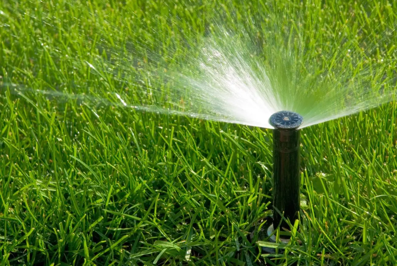 Irrigazione intelligente: strategie per risparmiare acqua in estate Irrigazione intelligente: strategie per risparmiare acqua in estate